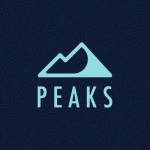 Peaks Digital Marketing Profile Picture