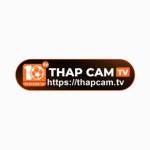 THAPCAM TV Profile Picture