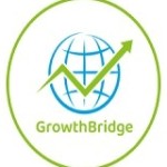 GrowthBridge Consulting profile picture