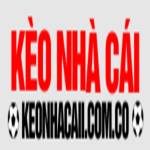 Kèo Nhà Cái 5 Profile Picture
