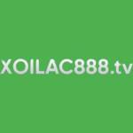 Xoilac1 TV Profile Picture