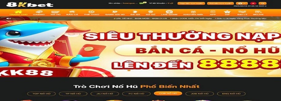 Ceo Đặng Vân Cover Image