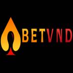 betvnd nhà cái Profile Picture