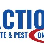 ACTION Termite Profile Picture