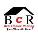 Best Choice Roofing Profile Picture