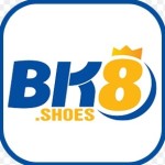 bk8 shoes Profile Picture
