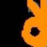 13 Win dev Profile Picture