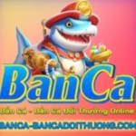 Bắn Cá Đổi Thưởng Game Giải Trí Profile Picture