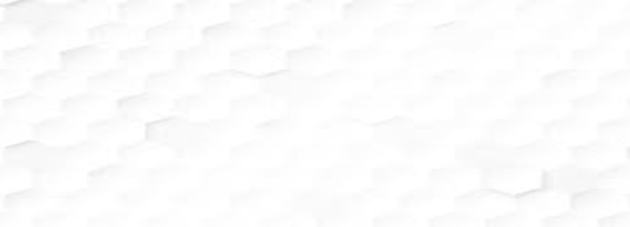 Schnitz Schnitz Cover Image