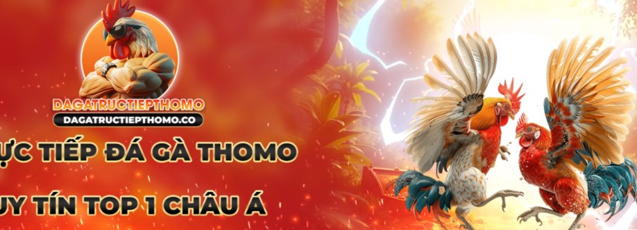 CEO CPT Đá gà trực tiếp Thomo Cover Image