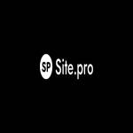 Site pro Website Builder Ciudad de México Profile Picture