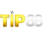 Ấu Dâm Profile Picture