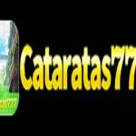 cataratas777netbr Profile Picture