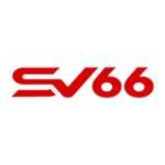 SV66 it com Profile Picture