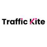 Traffic kite Profile Picture