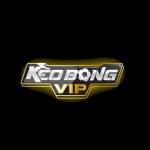 Keobongviptop Tỷ lệ kèo nhà cái Profile Picture