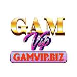 Gamvip biz Profile Picture