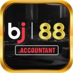 BJ88 Accountant Profile Picture