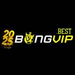 BONGVIP Link Nhà Cái Bong Vip