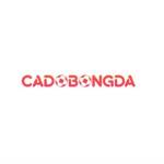 Cá Độ Bóng Đá Online Profile Picture