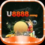 u8888 wang Profile Picture