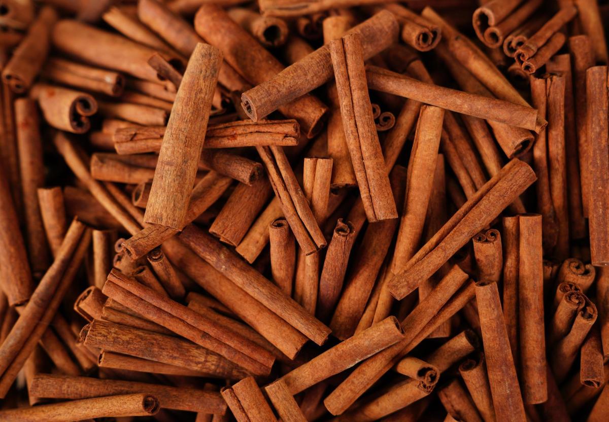 Journey of a Legendary Spice: Exploring the Lesser-Known Truths of Cinnamon Origin – Robust Madagascar Blogs