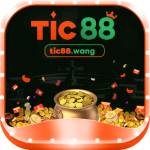 tic88 wang profile picture