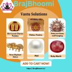 Braj bhoomi Profile Picture