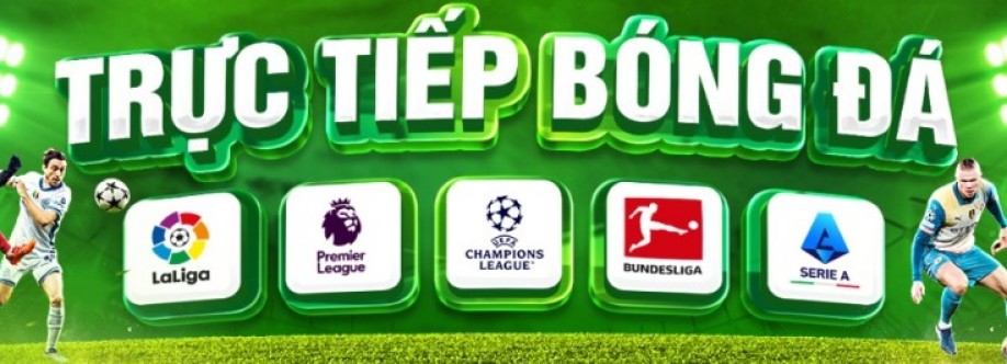 Mollysmovementcom lừa đảo Cover Image