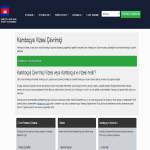 Visa Online Profile Picture