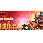 vn88 racing01 Profile Picture