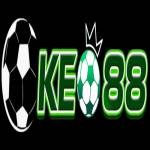 tylekeo mx Profile Picture