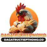 Đá Gà Trực Tiếp THOMO Profile Picture
