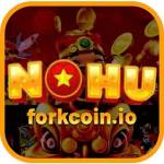 Nohu90 Forkcoin Profile Picture