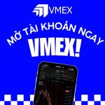 Lam Vmex Profile Picture