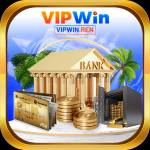 vip winren Profile Picture