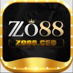 Zo88 ceo Profile Picture