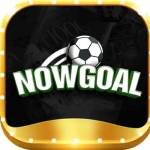 nowgoal25it com Profile Picture