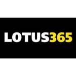 lotus365login lotus365login Profile Picture