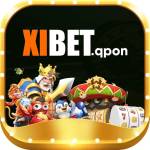 xibet qpon Profile Picture