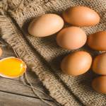 harga_telur indonesia Profile Picture