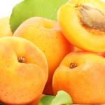 Tahir Rasheed Profile Picture