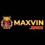 Maxvin Space Profile Picture