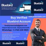 Buy Verified Bluebird Account Profile Picture
