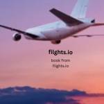 Filghts offcial Profile Picture