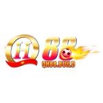 QH88 build Profile Picture