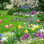 Nishant Malik Profile Picture