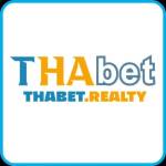 Thabet realty Profile Picture