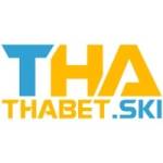 Thabet ski Profile Picture