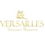 Versailles World Profile Picture